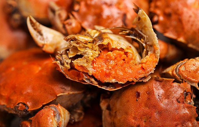 吃螃蟹为什么会肚子疼（吃螃蟹为什么会肚子痛）
