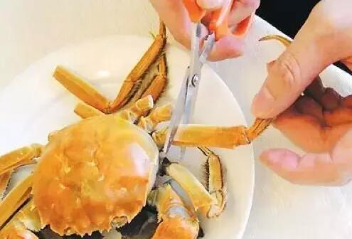 螃蟹的吃法图解（螃蟹的吃法图解）