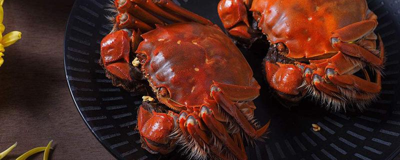 超市的冻螃蟹能吃吗 超市的冻螃蟹能吃吗多少钱