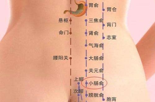 小肠俞的准确位置图和作用 小肠俞的准确位置图及作用