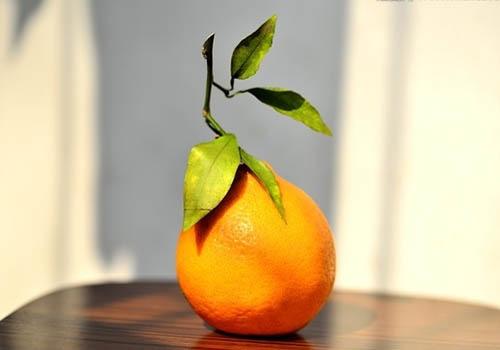 丑橘的营养价值 丑橘的营养价值有多少