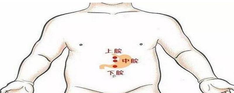 上脘在哪个位置 上脘是什么部位