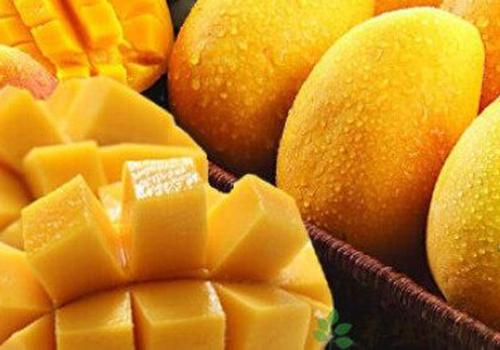 芒果吃了有什么好处 芒果吃了有什么好处会发胖吗