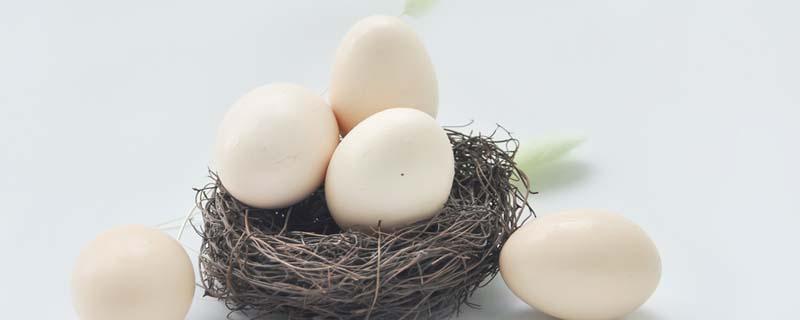 鸽子蛋的营养价值及功效（鸽子蛋的营养价值及功效和禁忌）