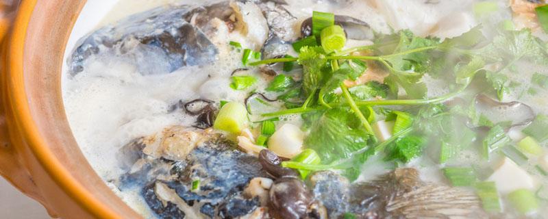 鱼头汤的功效与作用 花鲢鱼头汤的功效与作用
