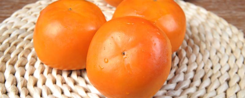 脆柿子可以放冰箱吗（脆柿子能放冰箱吗?）