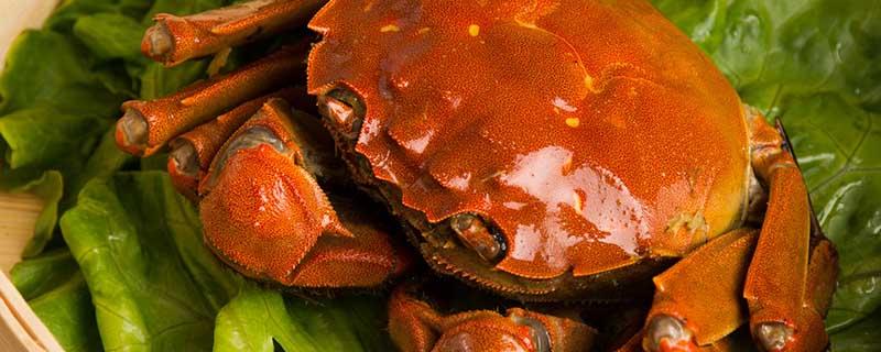 吃螃蟹蘸醋好还是酱油 吃螃蟹蘸醋好还是酱油醋好