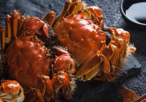减肥期间可以吃螃蟹吗（减肥期间可以吃螃蟹吗?）