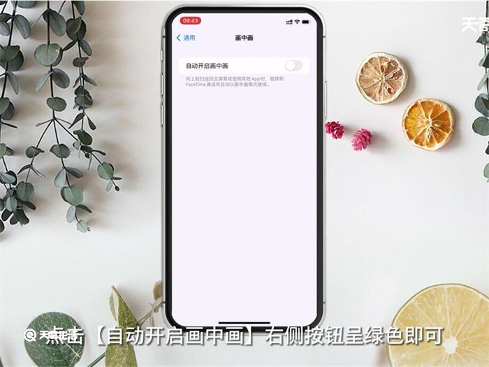 iPhone怎么分屏多任务 iPhone如何分屏多任务