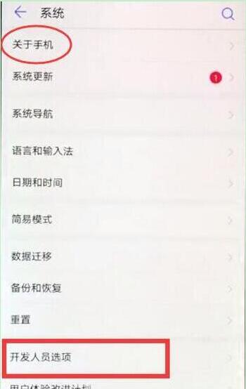 华为mate20怎么打开开发者选项
