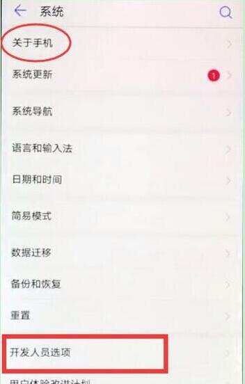 华为畅享9plus怎么打开开发者选项