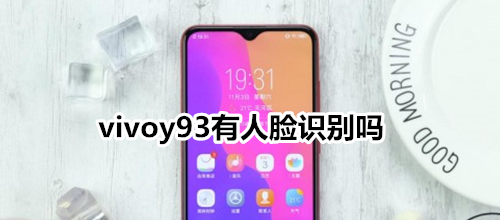 vivoy93有人脸识别吗