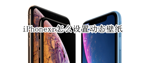 iPhonexr怎么设置动态壁纸