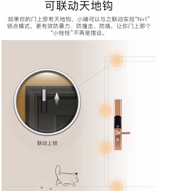 德施曼T86指纹锁是真插芯吗