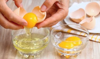 鸡蛋炖肉泥的做法 鸡蛋炖肉泥怎样做