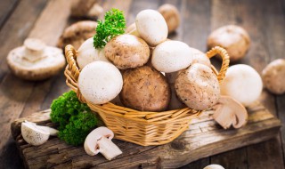 蘑菇家常炒法 蘑菇炒蛋怎么做