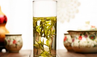 茉莉茶叶属于什么茶 茉莉茶叶是哪种茶