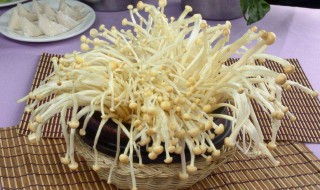 金针菇根部怎样可以再生 金针菇根部再生的方法