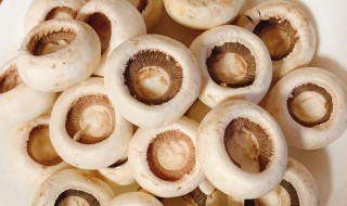 口蘑怎么吃最好 口蘑如何做最好吃