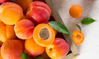 保存新鲜的水果最适合的温度 保存新鲜的水果最适合的温度是多少