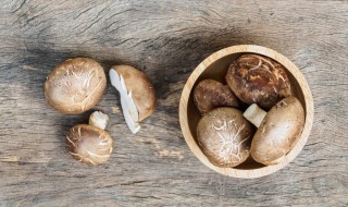 保存新鲜的香菇用透气的塑料袋装好 保存新鲜的香菇需要用透气的塑料袋装好吗