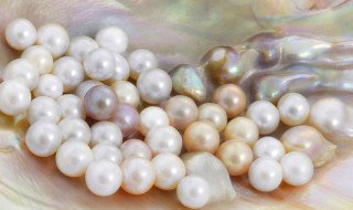 淡水珍珠和海水珍珠哪个好 海水珍珠是怎么形成的