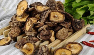 蘑菇烹饪方法 关于蘑菇吃法介绍