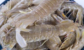 皮皮虾怎么保存 皮皮虾保存方法