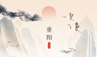 重阳节饮什么酒 菊花酒最为应景