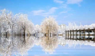 冬季去哪里旅游比较好国内 去哈尔滨看雪