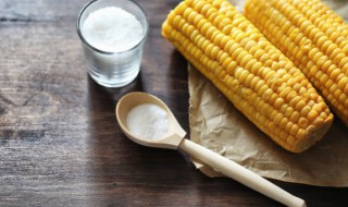 鲜榨玉米原汁如何做 鲜榨玉米汁的制作方法