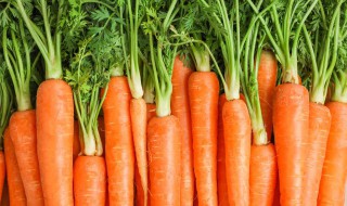种植胡萝卜方法 胡萝卜的种植方法