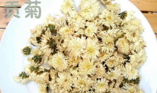 黄山贡菊怎么泡水喝正确 黄山贡菊泡水方法