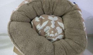 猫窝保暖方法 保暖猫窝制作方法