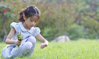 养女孩教育方法 养女孩教育方法分享