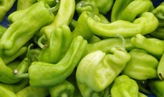 新鲜的辣椒怎么保存 新鲜的辣椒的保存方法