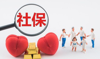 养老保险金怎么查看 查询养老保险金的方法