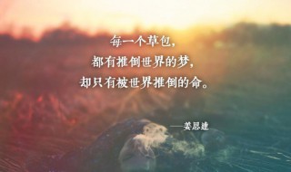 心灵鸡汤一句话 心灵鸡汤的一句话说说