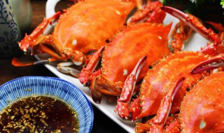梭子蟹蘸料怎么调好吃 梭子蟹蘸料如何调好吃