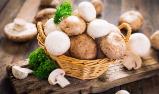 为什么云南蘑菇多 关于云南蘑菇多的原因