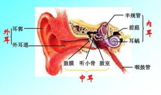 耳朵痒小妙招 生活小常识