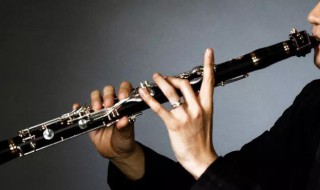 单簧管和萨克斯的区别 单簧管和萨克斯的构造有所不同