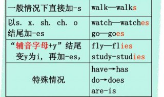 在英语中什么叫做第三人称单数 第三人称单数的具体变化形式