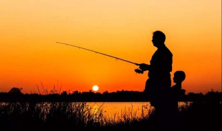 钓鱼的好处 长期钓鱼对身体的4大好处