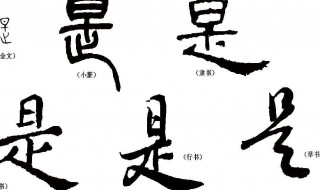 汉字的分类有哪些 盘点其中四个类别