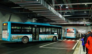 重庆499路公交车线路 共经过多少站