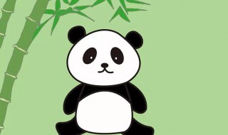 大熊猫简笔画怎么画 简单几笔超可爱