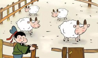 亡羊补牢告诉我们什么道理 羊补牢的寓意是什么