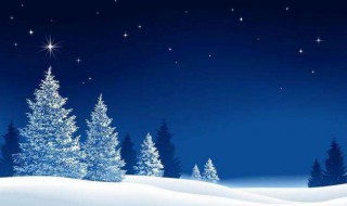 关于冬夜的唯美句子 描写冬天夜晚的唯美句子