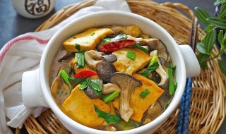 如何做豆腐平菇煲 怎么做平菇豆腐煲